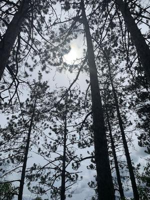 THE SEASON OF CHANGE